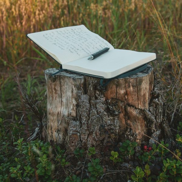 Notebook and pen on a stump